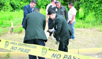 Perro callejero encuentra dos manos en la avenida Universidad