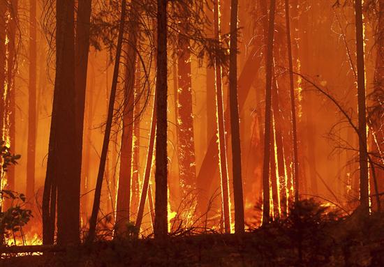 Incendio forestal en California amenaza suministro de agua de San Francisco
