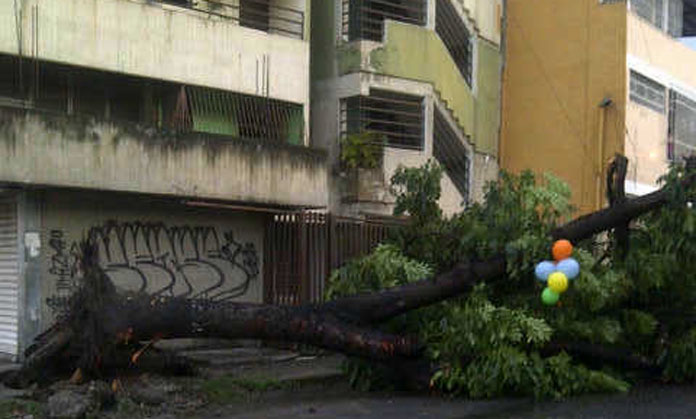 Tormenta eléctrica sorprendió a larenses (Fotos)