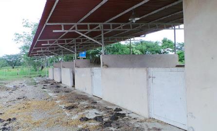 Así quedó la finca de Edgardo Parra en Carabobo (Fotos)