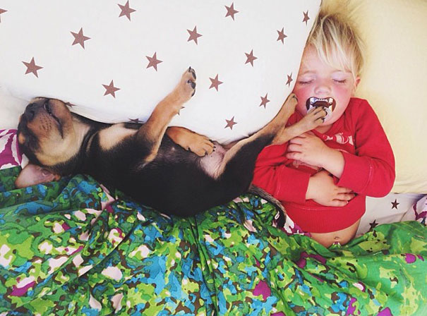 El niño, el cachorro y la siesta… fotos para levantar el ánimo (AWWW)