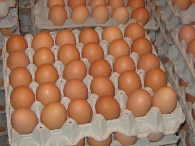 El cartón de huevos amaneció en 330 mil bolívares en el Táchira