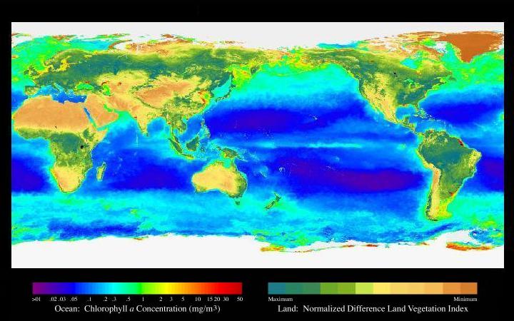 Fenómeno climático El Niño puede ser uno de los más fuertes, según científico