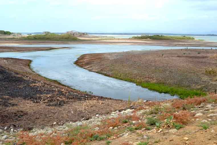 La alarmante situación de los embalses Tulé y Manuelote (Fotos)