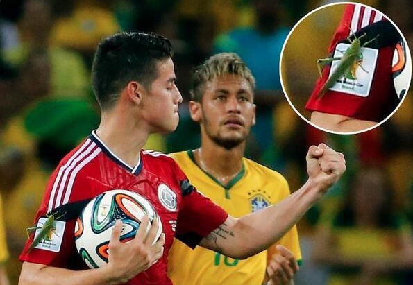 FOTOS: El saltamontes gigante que asaltó a James Rodríguez en pleno Brasil-Colombia