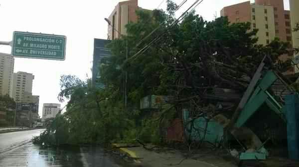 Lluvias con vientos huracanados causaron destrozos en Maracaibo (Fotos + Video)