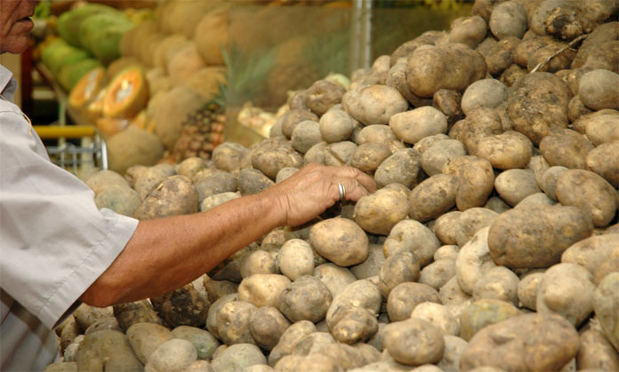 En un 30% se redujo el cultivo de hortalizas con respecto a 2015