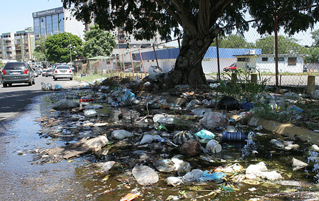 Desidia total en Puerto Ordaz