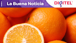 Científicos desarrollan biocombustible a partir de naranjas