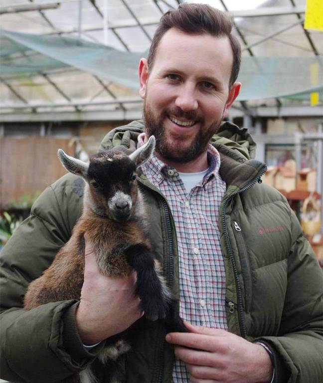 Cabrito se convierte en el mejor amigo de un joven en Inglaterra (Fotos + Video)