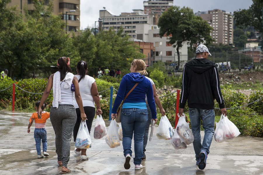 En manos del Gobierno está el aumento o disminución de la producción de alimentos