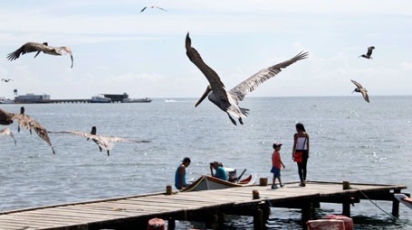 El pescado brilló por su ausencia en Manzanillo