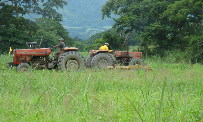 Fedeagro advirtió que desempleo en el campo venezolano ronda 50%