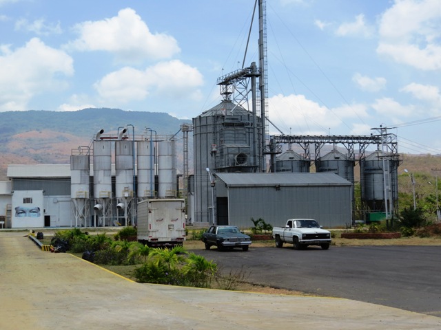 En Aragua la producción de harina de maíz bajó 75% en doce meses