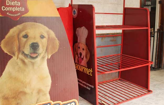 Incrementan las cifras del abandono de animales domésticos en Nueva Esparta