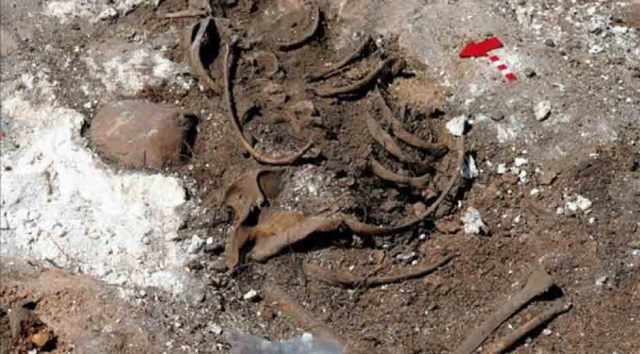 Descubren en Nueva York restos humanos enterrados