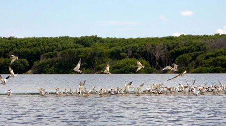 Ecoturismo y aventura aguardan en Santa Marta