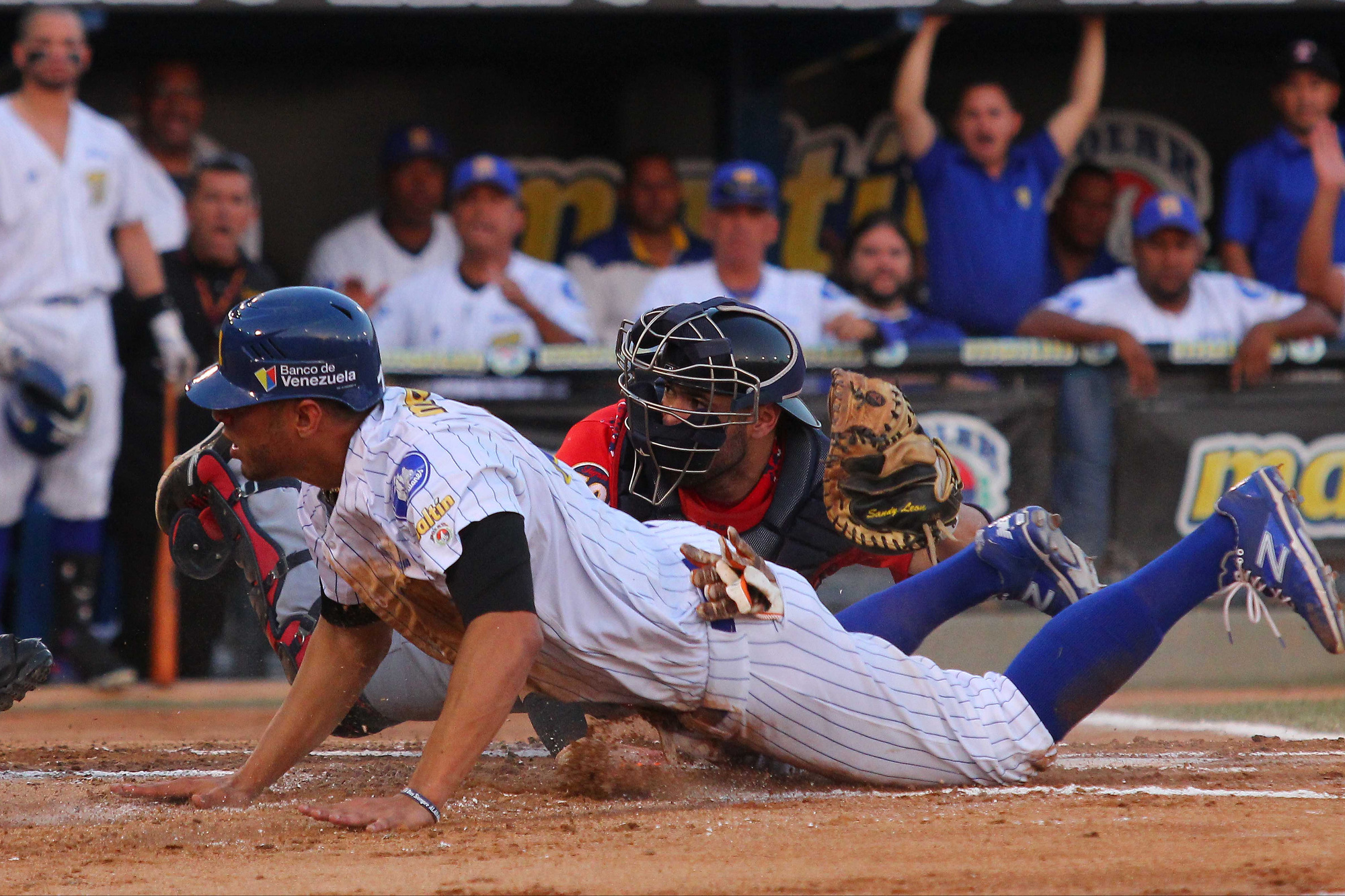 Ofac autorizó a grandeligas para jugar en Venezuela, menos a Tigres y Navegantes