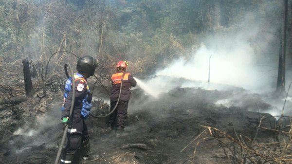 Protección Civil no tiene capacidad para atender 10 a 12 incendios diarios