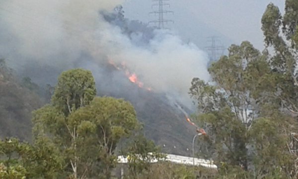 Reportan incendio en El Ávila este viernes