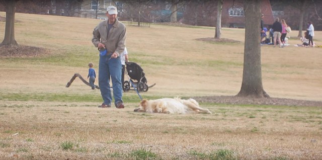 perro-haciendose-muerto-parque-piedmont-atlanta-2