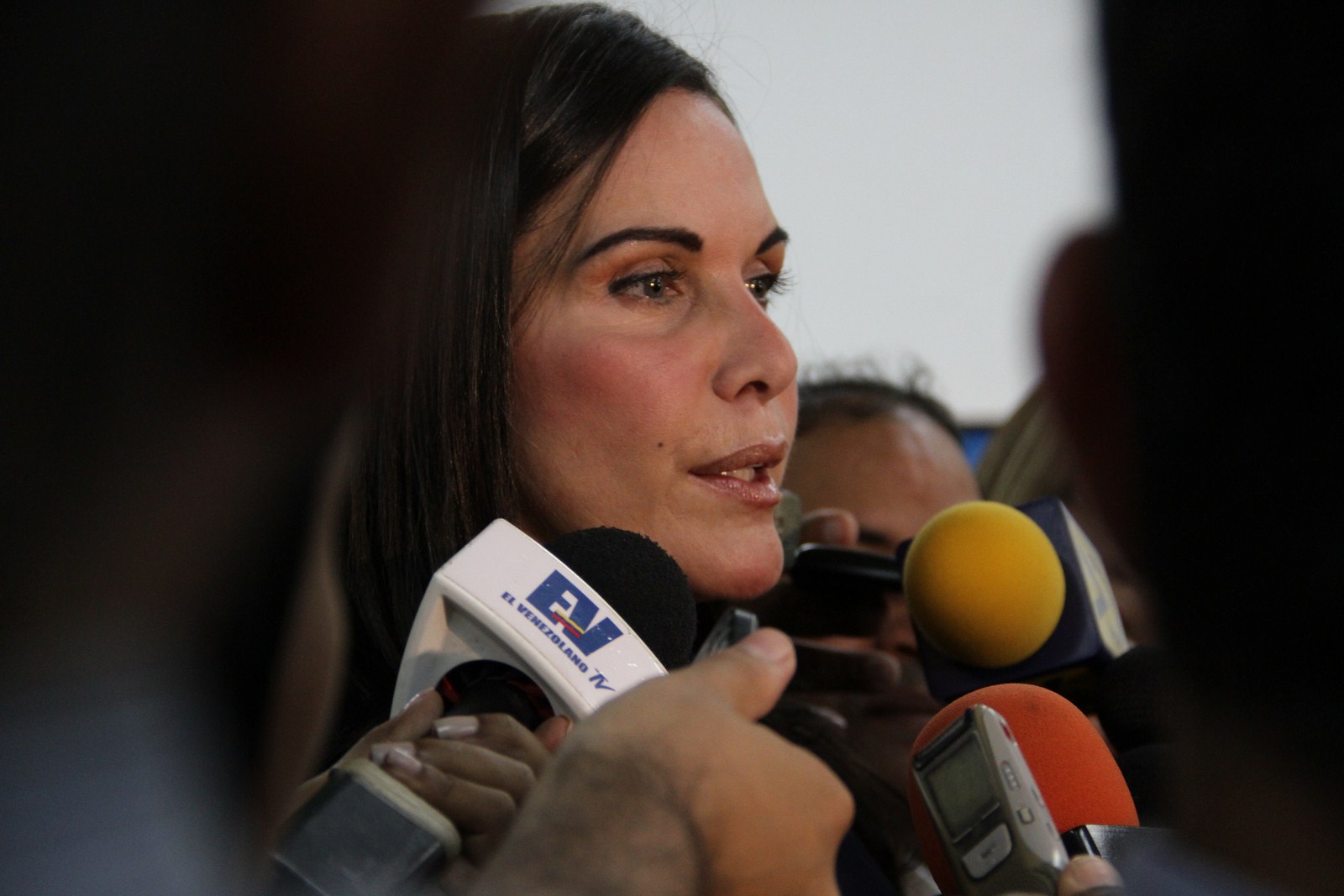 Eveling de Rosales: No habrá obstáculo que impida que los partidos defendamos a la democracia