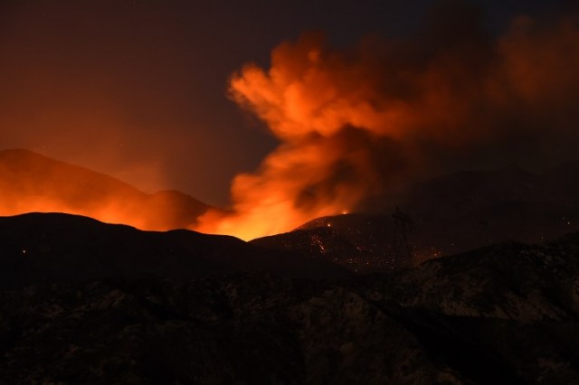 AFP PHOTO / Robyn BECK