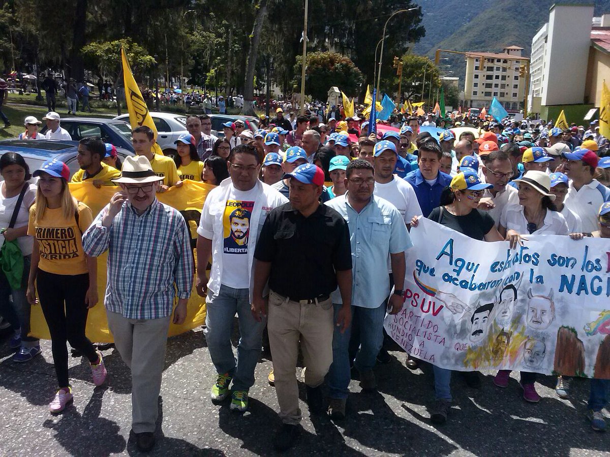 Marcha opositora de Mérida llega al CNE