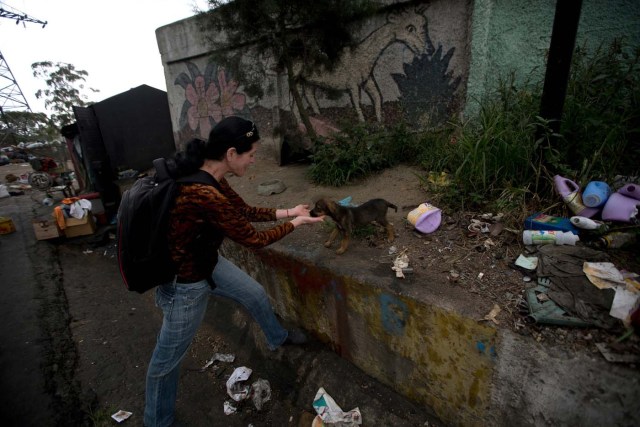 En esta imagen del 21 de julio de 2016, Katty Quintas, una de las fundadoras del refugio privado Funasissi, encuentra un perro abandonado buscando entre la basura en el barrio trabajador de El Junquito, Caracas, Venezuela. En Caracas se ha vuelto habitual ver perros de raza buscando en la basura o tumbados al aire libre, sucios y demacrados. (AP Foto/Fernando Llano)