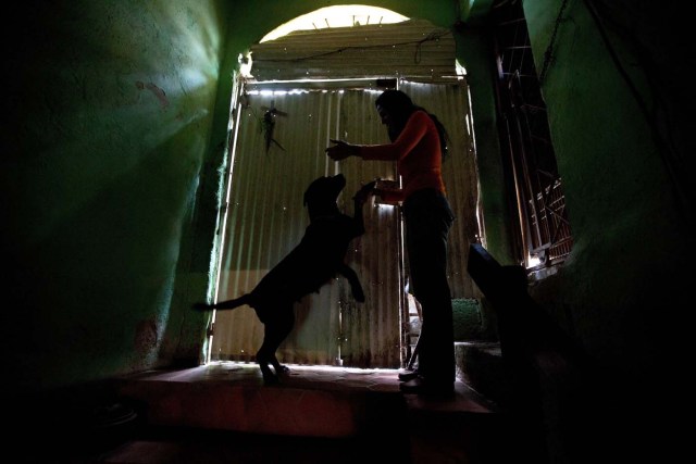 En esta imagen del 21 de julio de 2016, Katty Quintas, una de las fundadoras del refugio privado Funasissi, juega con su perro Sissis en el centro en el barrio trabajador de El Junquito, Caracas, Venezuela. Un sustituto popular para alimentar a los perros, que nunca se habría considerado en tiempos mejores, es el pienso para pollos. "Tenemos que dárselo porque no tenemos más nada", dijo Quintas. (AP Foto/Fernando Llano)