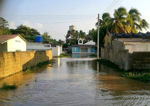 río Tocuyo