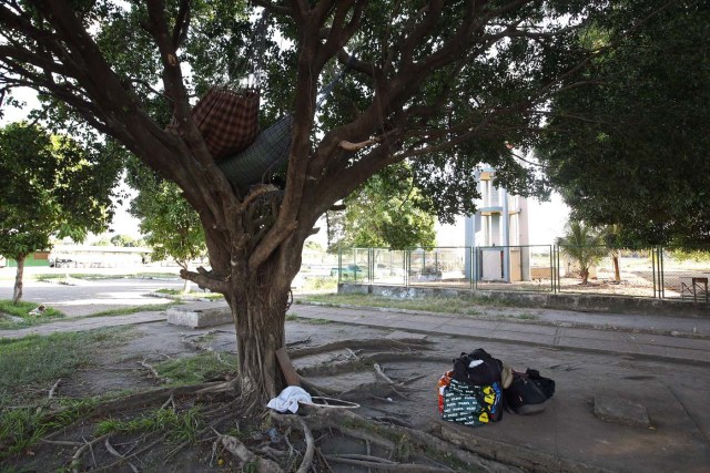 ACOMPAÑA CRÓNICA: BRASIL VENEZUELA BRA05. BOA VISTA (BRASIL), 22/10/2016.- Fotografía de un árbol donde algunos inmigrantes venezolanos han instalado sus hamacas este jueves, 20 de octubre de 2016, frente a la terminal de autobuses de Boa Vista, estado de Roraima (Brasil). Es venezolana, tiene 20 años, quiere ser traductora y hoy, en una hamaca colgada en un árbol que ha convertido en su casa en la ciudad brasileña de Boa Vista, mece unos sueños que, según aseguró, no serán truncados por "el fracaso de una revolución". "No estoy aquí por política. Lo que me trajo aquí fue el fracaso de unas políticas", dijo a Efe Sairelis Ríos, quien junto a su madre Keila y una decena de venezolanos vive en plena calle, frente a la terminal de autobuses de Boa Vista, una ciudad que en los últimos meses ha recibido unos 2.500 emigrantes de ese país vecino. EFE/Marcelo Sayão