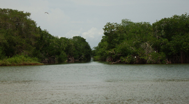 Encuentran cadáveres de pescadores desaparecidos en la Laguna de Tacarigua