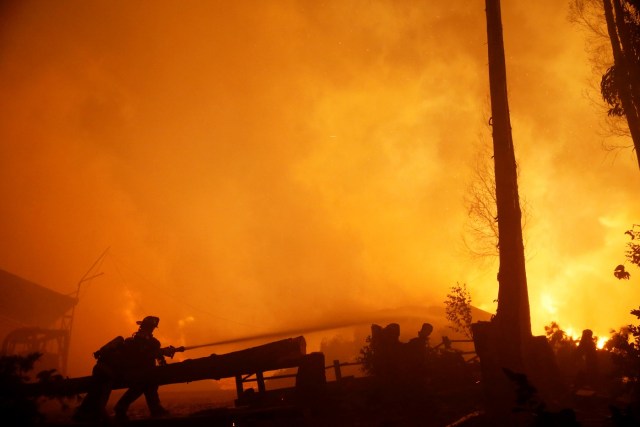 Firefighters try to stop a fire as the worst wildfires in Chile's modern history ravage wide swaths of the country's central-south regions, in Santa Olga, Chile January 26, 2017.  REUTERS/Rodrigo Garrido