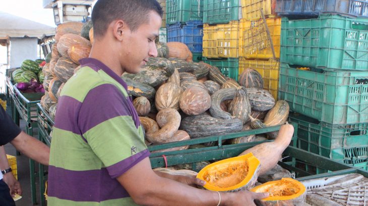 Las proteínas huyen del plato zuliano