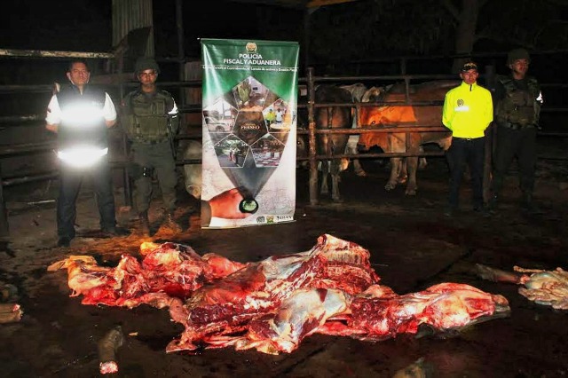 Desmantelaron matadero en Cúcuta con ganado venezolano