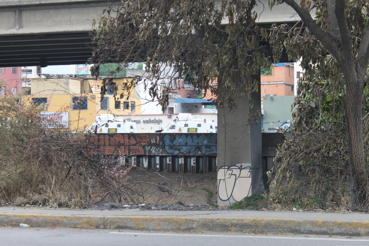 Colocan cinco “rinocerontes” frente al comando de campaña de Henrique Capriles