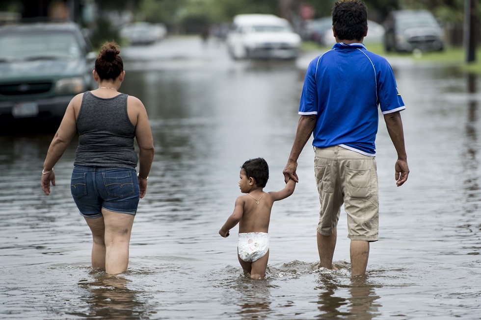 Estrellas y artistas de Hollywood donan fondos para las víctimas del poderoso Harvey