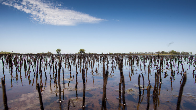 Argentina bajo el agua: Una superficie equivalente a Corea del Sur está inundada