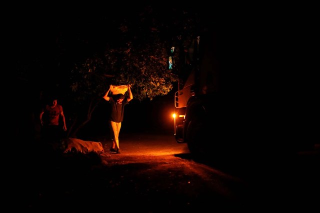 Trabajadores cargan sacos de yuca en un camión durante una parada en el camino para recoger mercancía cerca de Coloncito, Venezuela 29 de enero de 2018. REUTERS / Carlos Garcia Rawlins