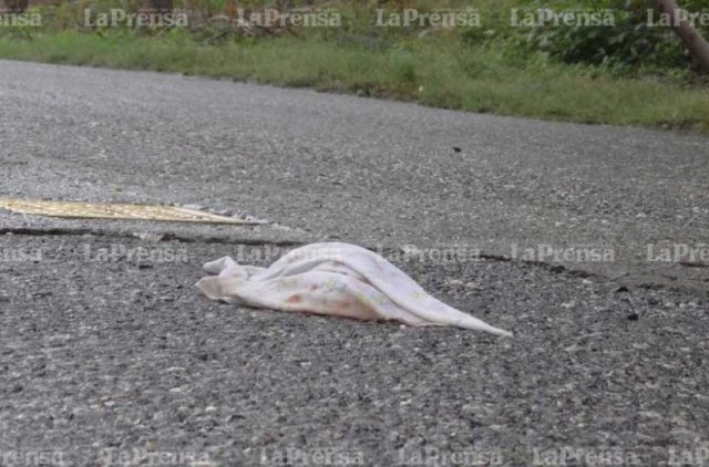 Foto: Hallan feto de cinco meses de gestación tirado en plena vía / laprensalara.com.ve 