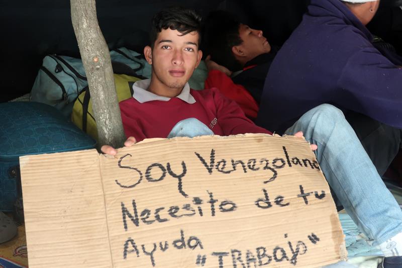 Pequeño jardín en terminal de Quito, parada de cientos de venezolanos camino a Perú