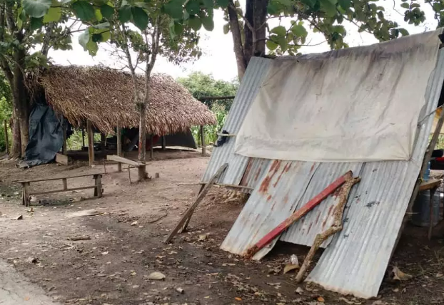 Denuncian que continúan las invasiones de fincas en el estado Barinas (Foto)