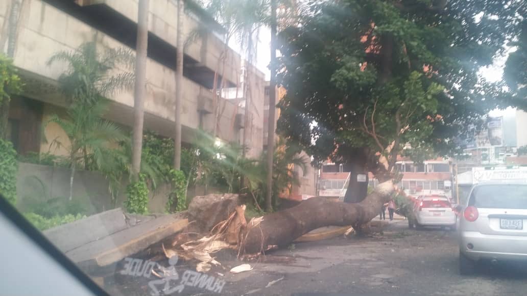 Lo que dejó la lluvia en Chacao: Alcantarillas sin tapa y árboles caídos #22Oct (Fotos)