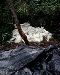 Incautan 3,2 toneladas de cocaína en zona fronteriza entre Venezuela y Colombia