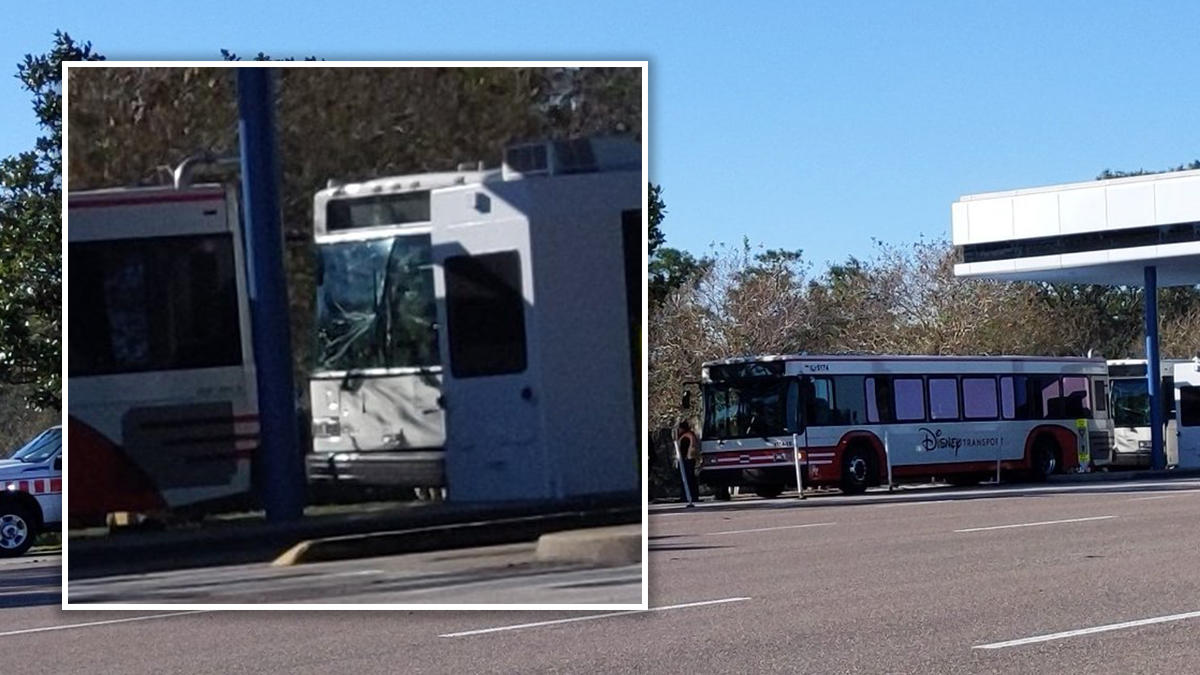 Accidente entre autobuses de Disney deja 15 heridos (Video)