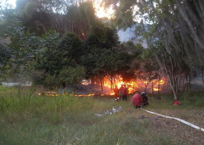 Piromaníaco suelto: Alertan sobre dos incendios provocados en Mérida