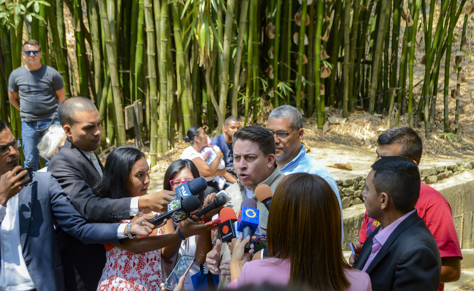 Gustavo Duque niega que palmeros de Chacao las vendan en 200 dólares