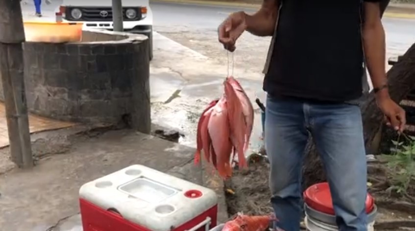 Trueque en Venezuela: Intercambian comida ante escasez de billetes (Video)