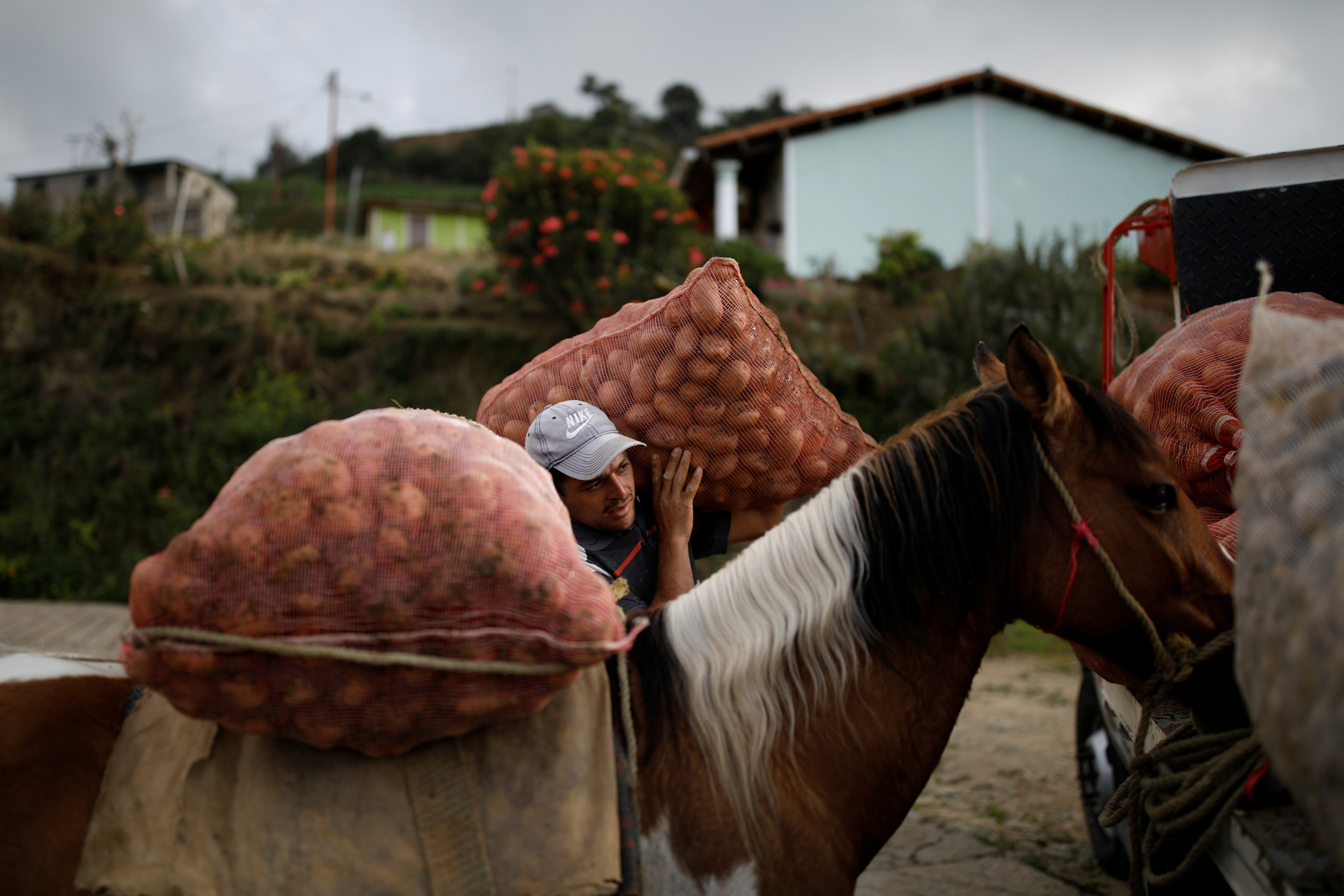 Exceso de “matraca”: la otra pandemia que enferma la distribución de mercancía en Venezuela